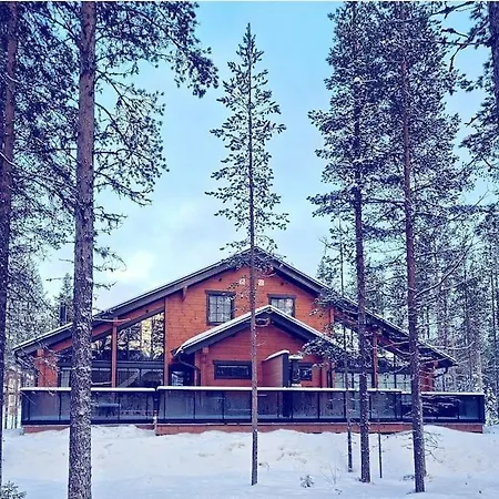 Levin Aurora A Леви