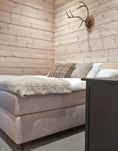 Levin Aurora A بيت للعطل ليفي